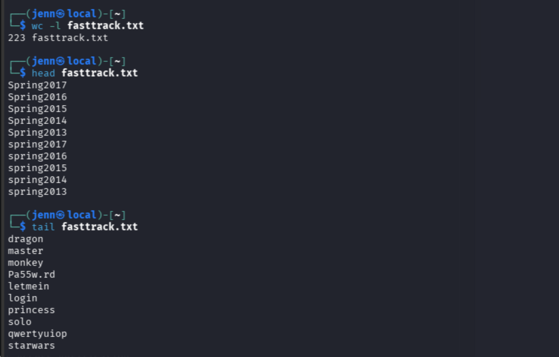 fasttrack.txt wordlist check